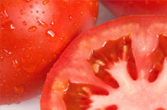 不同成熟度的辣椒对铡切颗粒大小均匀度的影响